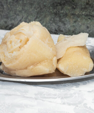 tripa bovino
